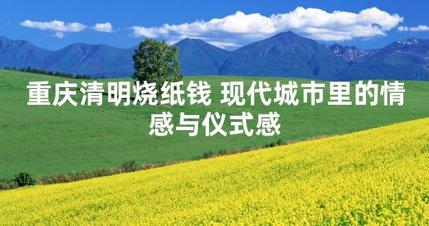 重庆清明烧纸钱 现代城市里的情感